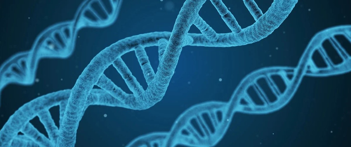 Image of 3 strands of computer-generated DNA in blue