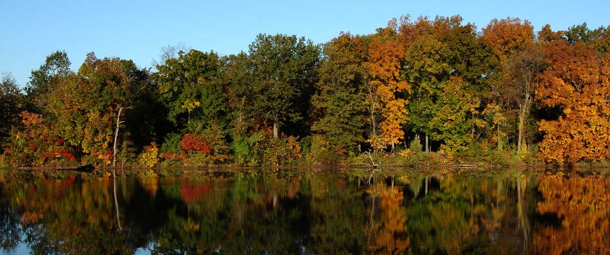 Autumn trees around campus lake. 